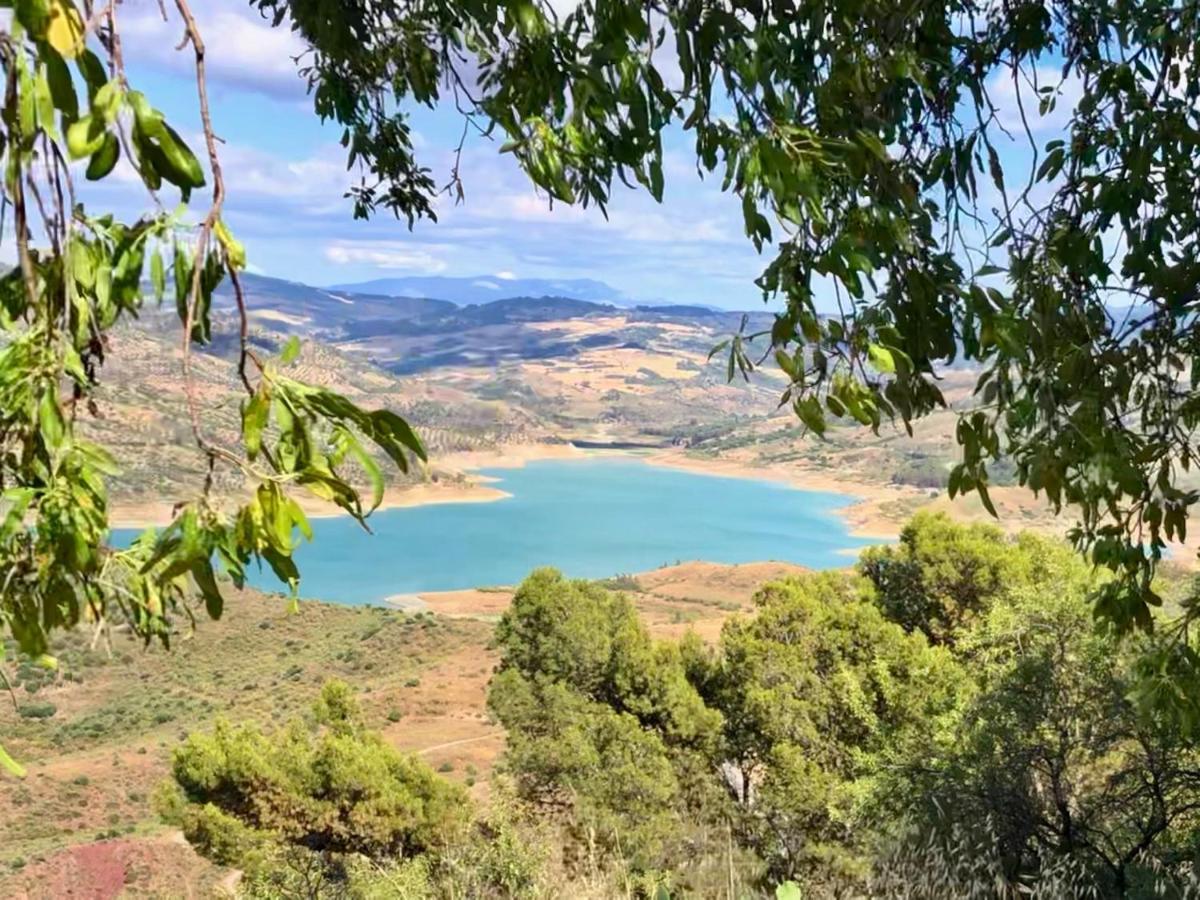 El Oasis Villa Algodonales Eksteriør bilde