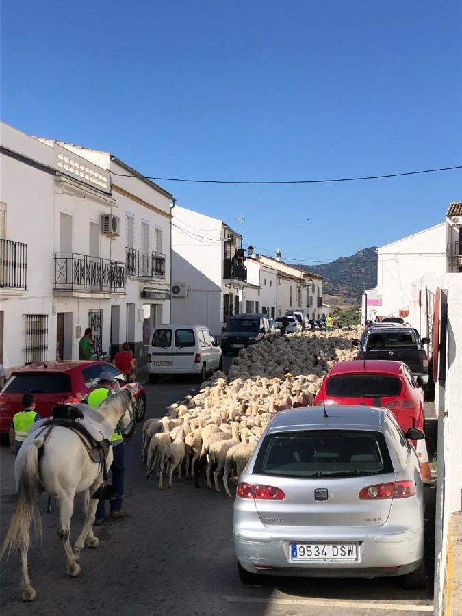 El Oasis Villa Algodonales Eksteriør bilde