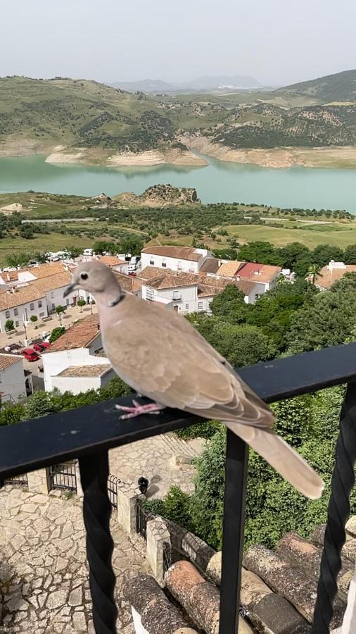 El Oasis Villa Algodonales Eksteriør bilde