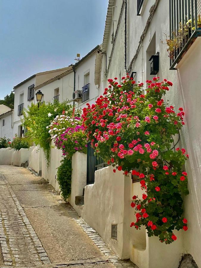 El Oasis Villa Algodonales Eksteriør bilde